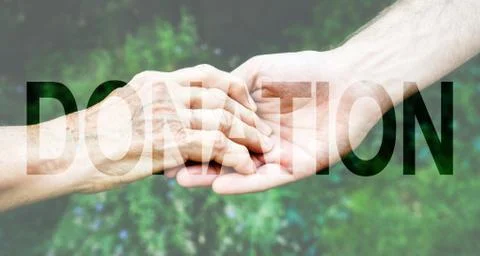 Donation Transparent Text Effect, white background. Stock Photos