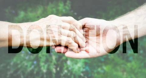 Donation Transparent Text Effect, white background. Stock Photos