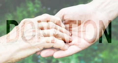 Donation Transparent Text Effect, white background. Stock Photos