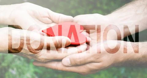 Donation Transparent Text Effect, white background. Stock Photos