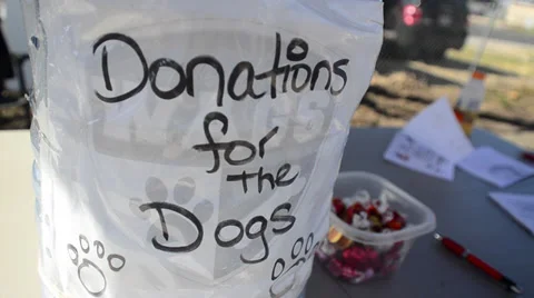 Donations for dogs dolly in Stock Footage 36783525