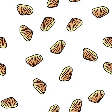 Donax clam vector seamless pattern Stock Illustration