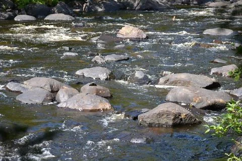 Doncaster River in Sainte-Adèle, Quebec during a sunny and hot summer day. Stock Photos