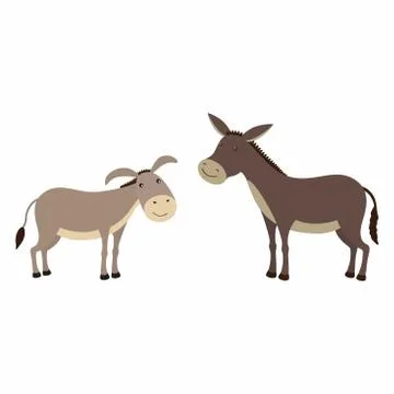 Donkey and mule, differences. Vector illustration isolated. Stock Illustration