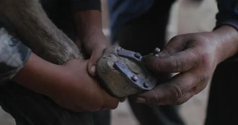 Donkey boots Stock Footage 58659664