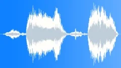Donkey Bray Sound Effect
