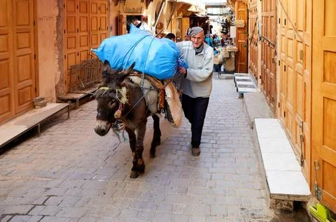 Donkey carries heavy load through streets of Fez Medina Stock Photos