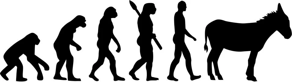 Donkey Evolution Stock Illustration