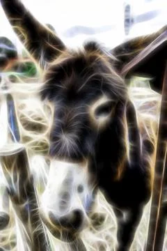 Donkey on a farm Stock Illustration