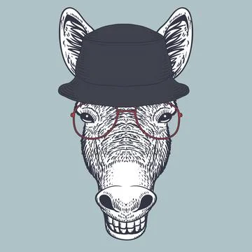 Donkey hand drawn wearing a red glasses and bucket hat Stock Illustration