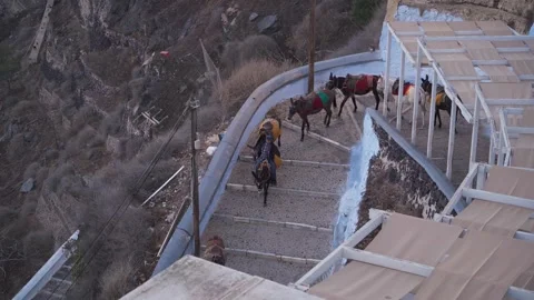 Donkey Handler Descending to Old Harbor in Fira Video stock 320331241