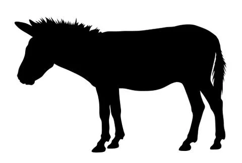 Donkey Stock Illustration