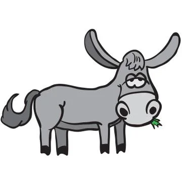Donkey Stock Illustration