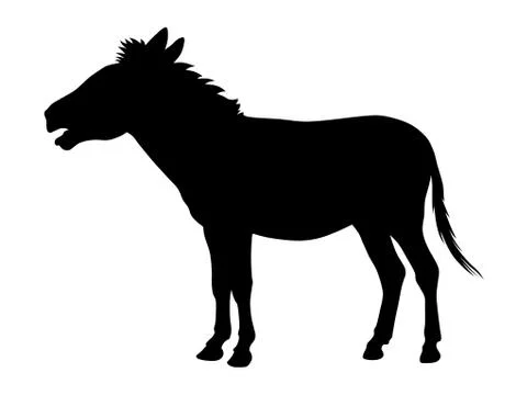 Donkey Stock Illustration