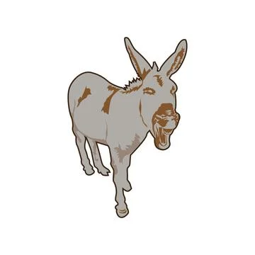 Donkey illustration Stock Illustration
