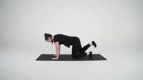 Donkey kick Stock Footage 314194655