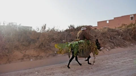 Donkey Man Morocco Slow Motion FHD Stock Footage 69026412