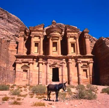 Donkey at the Monastery, Petra Foto stock