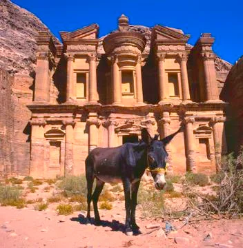 Donkey at the Monastery, Petra Stock Photos