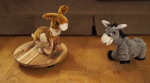 A donkey is playing with a camel. Stock Footage 44800744