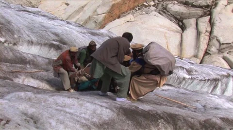 Donkey Rescue Stock Footage 53897056