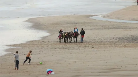 Donkey ride on a beach Stock Footage 48355214