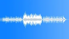 Donkey Ride Stock Music
