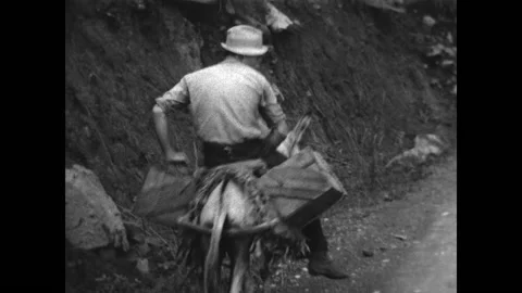 Donkey Riders 1938 Stock Footage 187758887