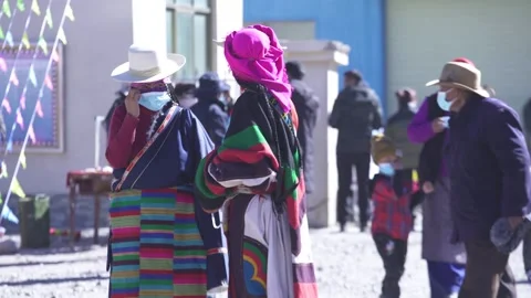 Donkey set mill, set mill, pull mill,  Stock Footage 241977743