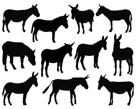 DONKEY SILHOUETTE VECTOR ART Stock Illustration