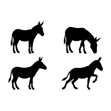 Donkey Silhouette Vector Illustration Bundle Isolated on White Background Stock-Illustration