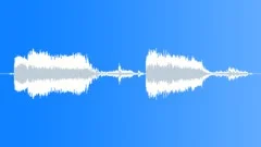 Donkey Sound Effect