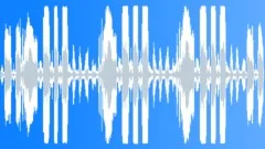 Donkey Sound Effect
