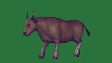 A donkey standing on green screen and an animation of animated chromakey Vídeo Stock 335122323