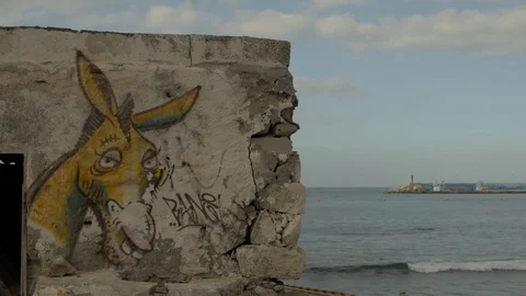 The Donkey, Tenerife Stock Footage 74800975