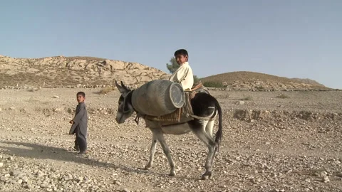 Donkey transportation for water Stock Footage 202126050