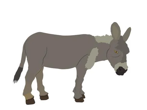 Donkey vector illustration isolated on white background. Stock Illustration