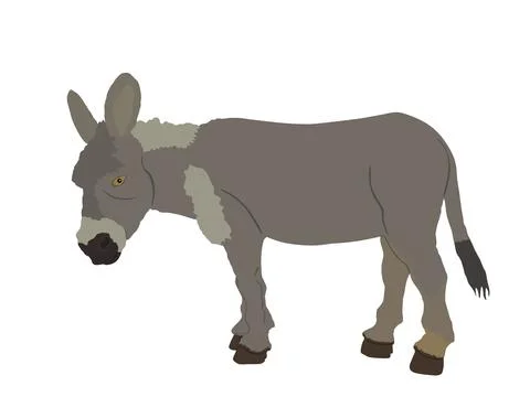 Donkey vector illustration isolated on white background. Stock Illustration