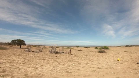 Donkeys on Bonaire Stock Footage 93321775