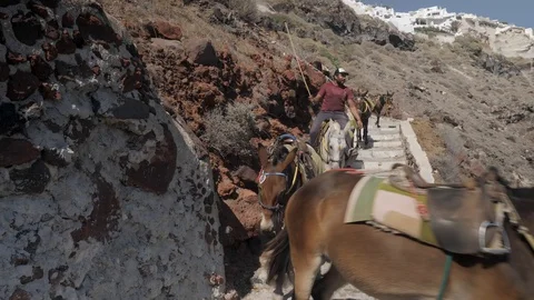 Donkeys in Santorini Stock Footage 127828072