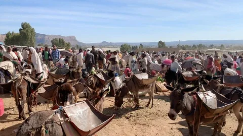 Donkeys waiting to be loaded with bought goods on a typical market day in rural Видео 102224291