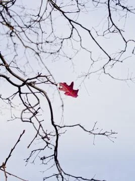 Don't be last again Foto stock