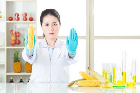Don't ever try it, the gmo food is not the cure for human 库存照片