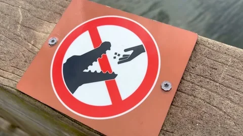 Dont feed the alligators sign in Florida - EVERGLADES CITY, UNITED STATES - Vídeo Stock 171191754