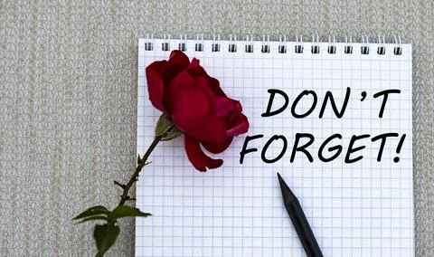 DON'T FORGET - words on a white sheet of paper with a red rose on a gray back Stock Photos