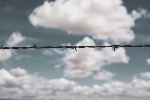 Don't Get Barbed. Stock Photos