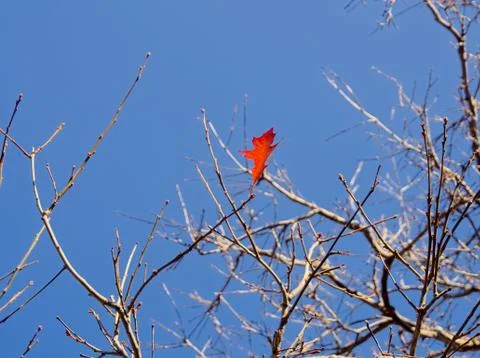 Don't get left behind Foto stock