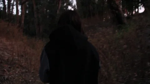 Don't go into the woods Stock Footage 78336443