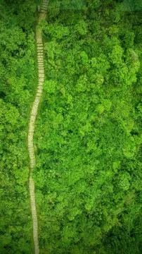 Don't Look Down! Stockfoto's