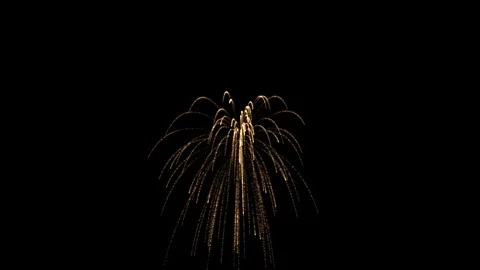 Don't miss out on the opportunity to elevate your Independence Day productions Stock Footage 277458446